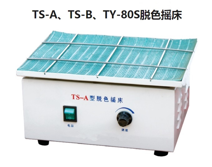 TS-A型水平摆动脱色摇床